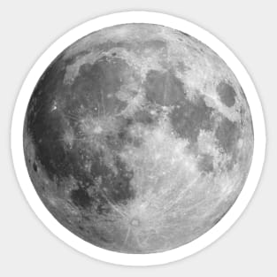 Selenophile - Full Moon - Waning Moon - Waxing Moon - Lunar Phase Sticker